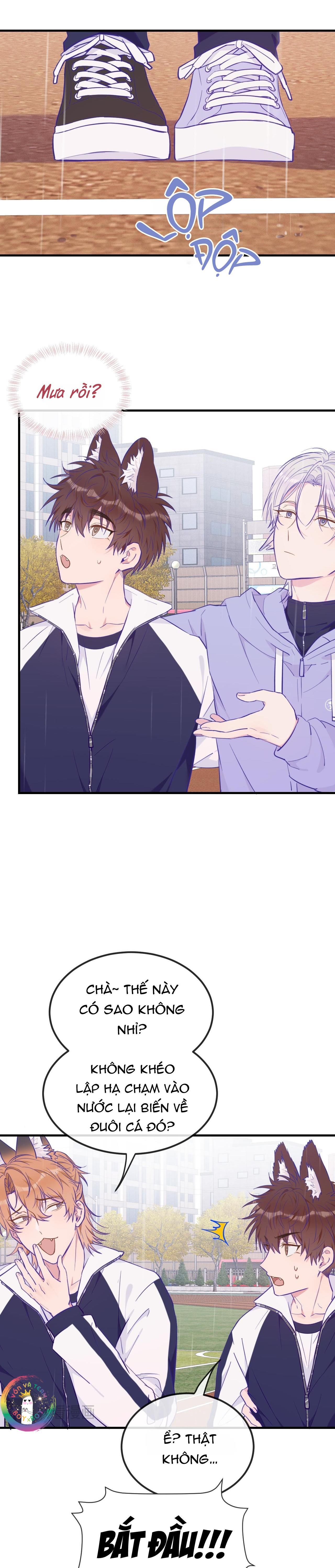 Đọc truyện Cún Con Nói Dối Sẽ Bị Ăn Thịt - Chapter 28