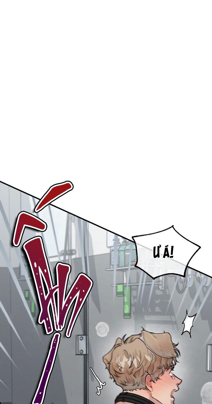 Đọc truyện HƯỚNG DẪN BDSM CƠ BẢN - Chapter 14