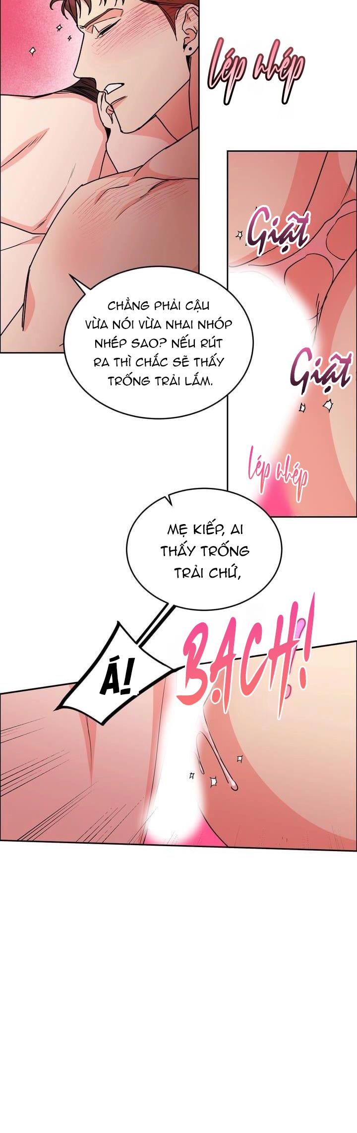 Đọc truyện CHÓ VÀ CHIM - Chapter 26