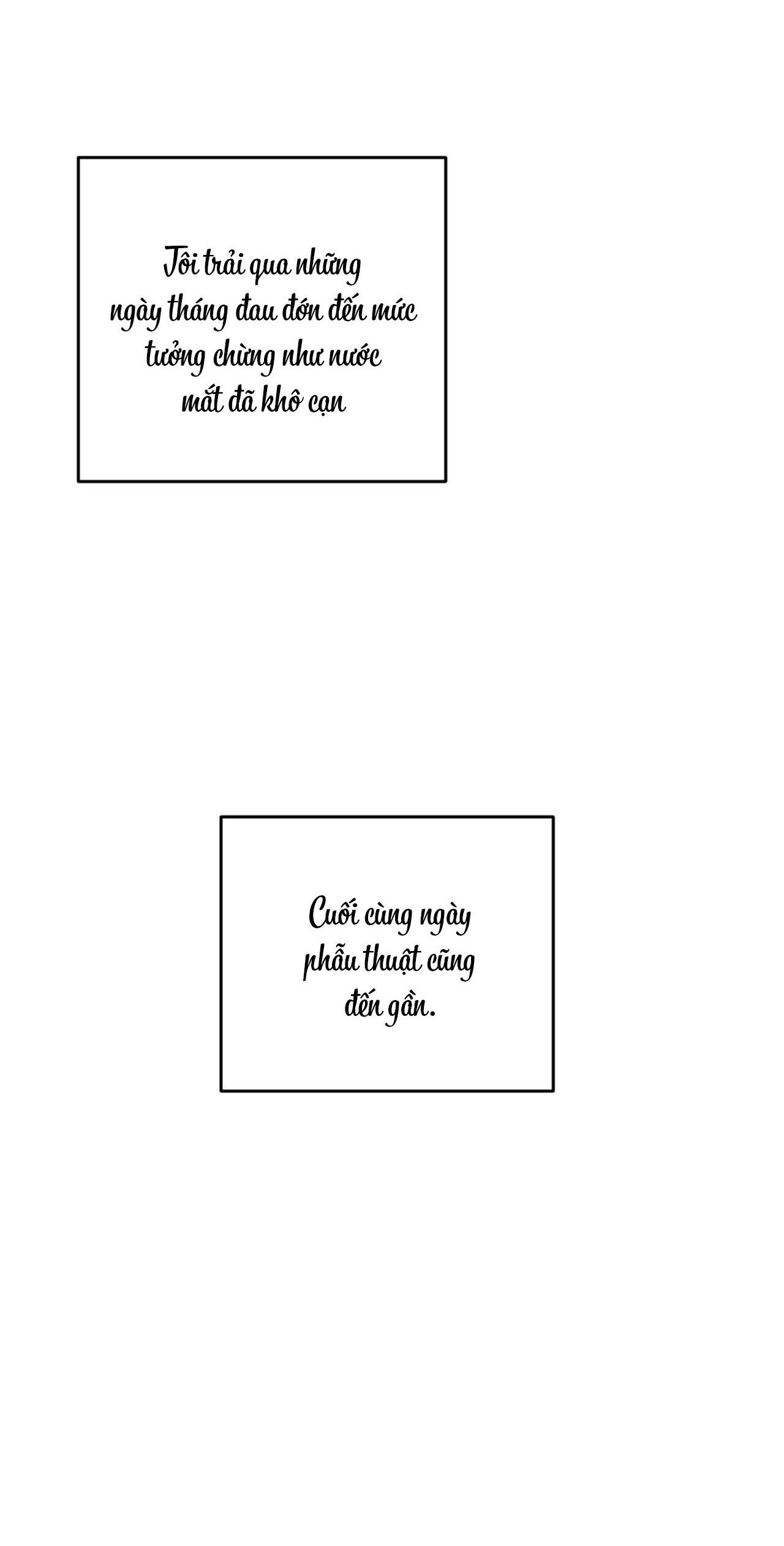 Đọc truyện  Khu Rừng Tĩnh Lặng - Chapter 55