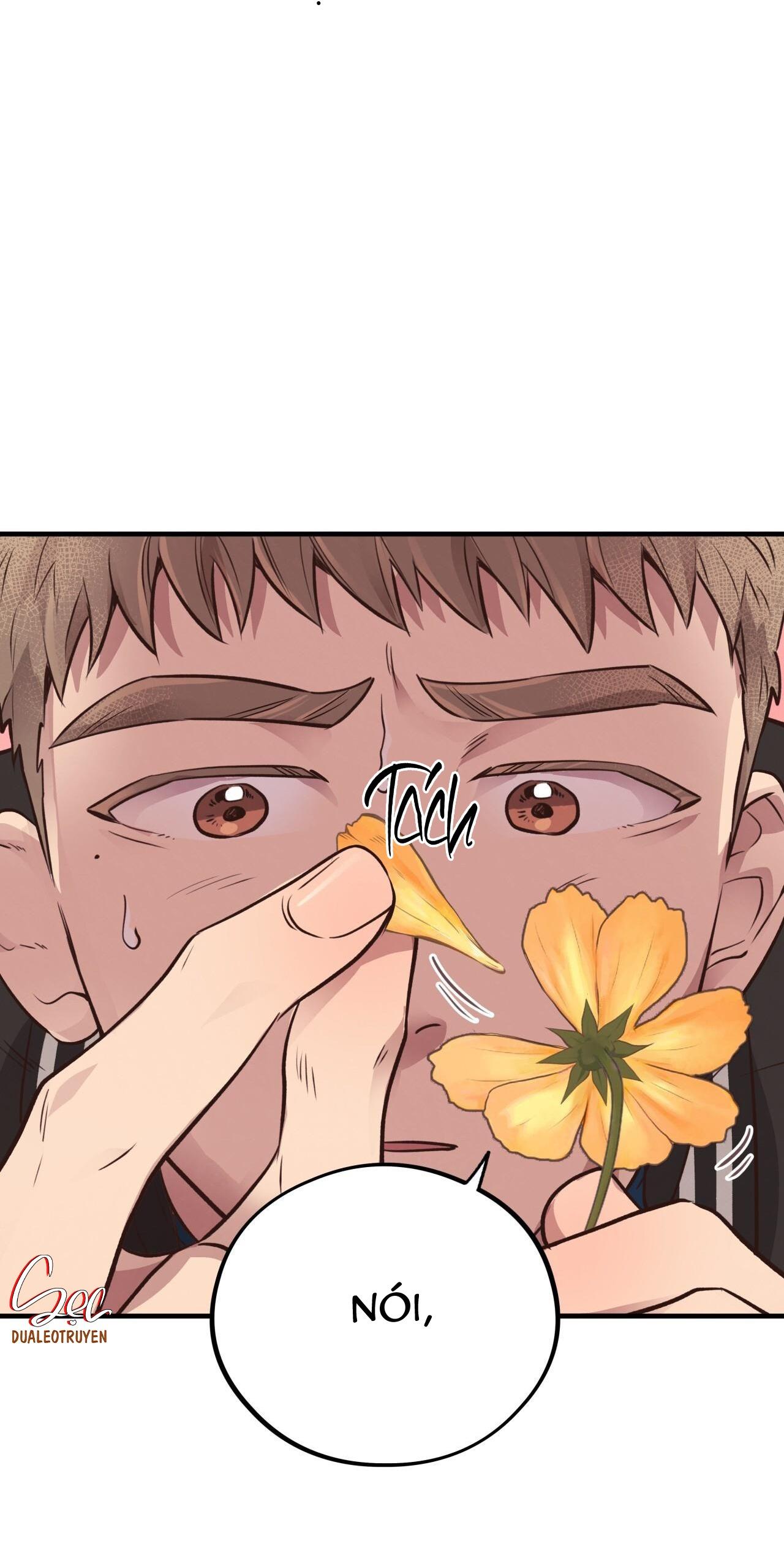 Đọc truyện HONEY BEAR - Chapter 31