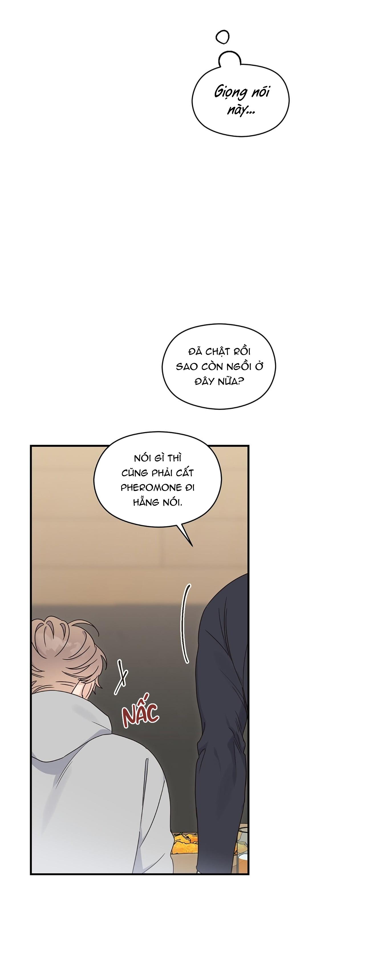 Đọc truyện ✿ Vết Thương Alpha ✿ - Chapter 3
