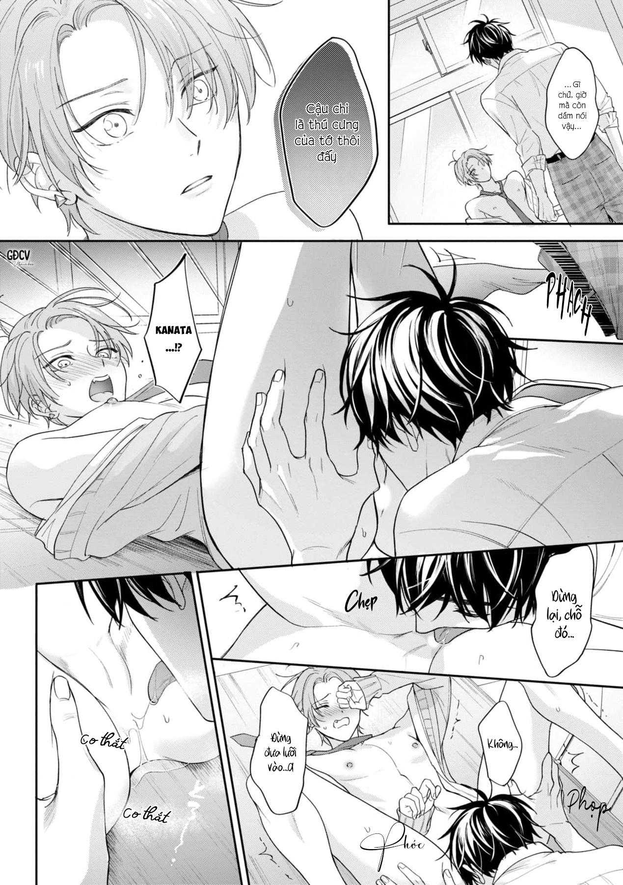 Đọc truyện Tình Yêu Ngọt Ngào Nhưng Không Kém Phần Táo Bạo - Chapter 4