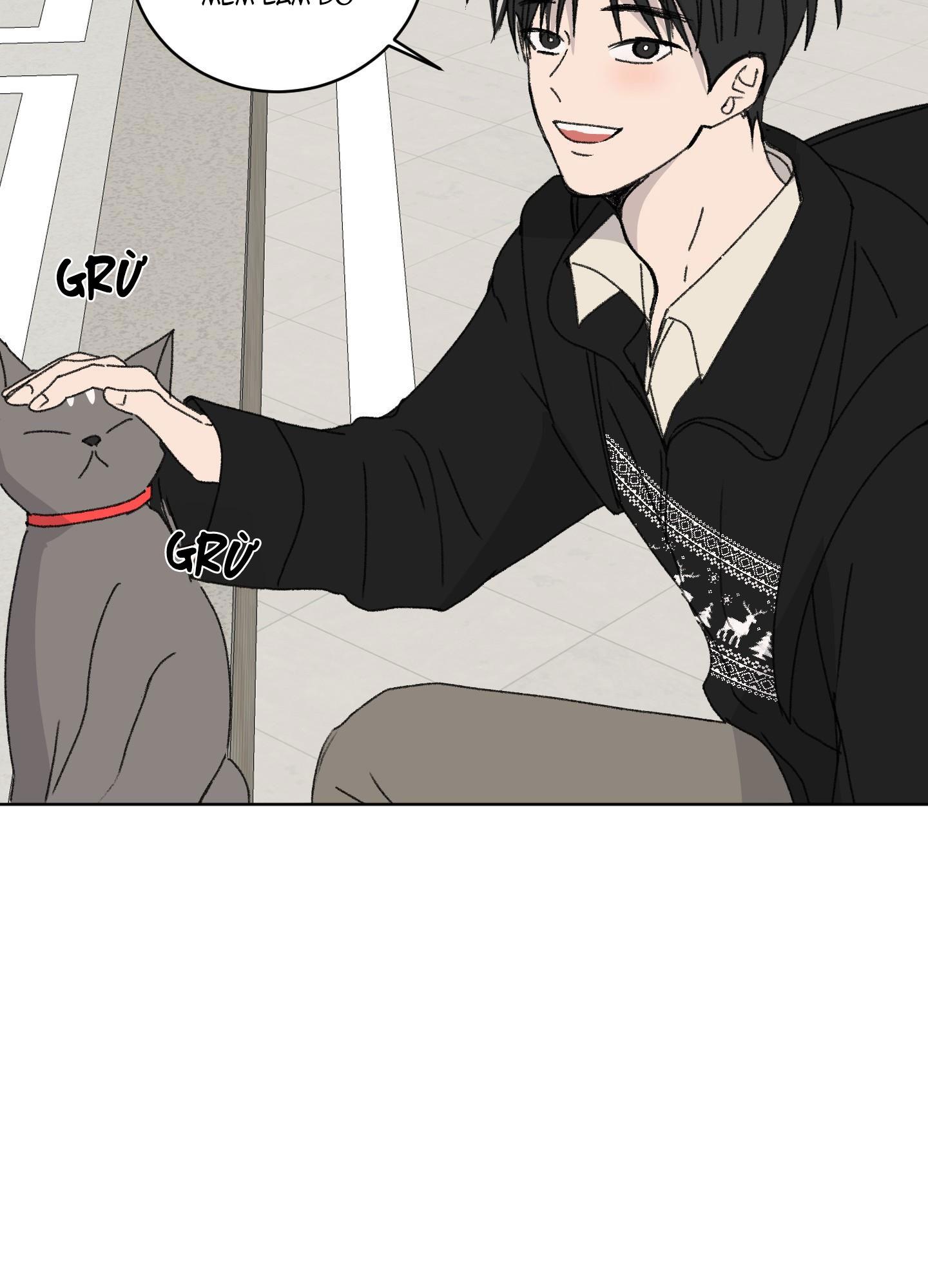 Đọc truyện Missing Romance - Chapter 19