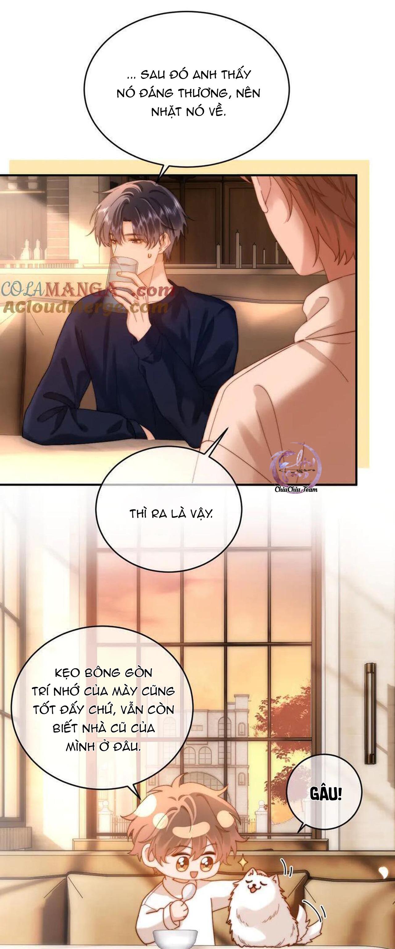 Đọc truyện Chất Dị Ứng Đáng Yêu - Chapter 52