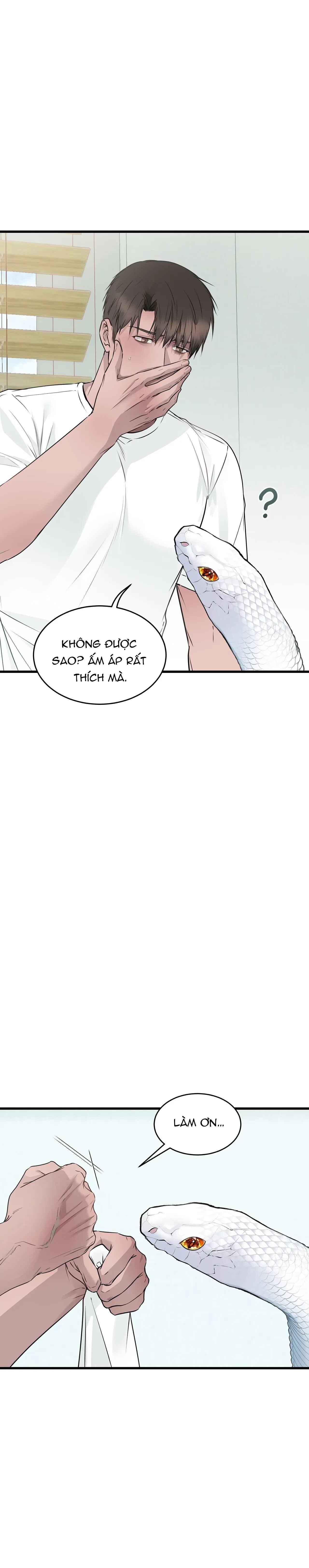 Đọc truyện ÂN NHÂN CỦA RẮN - Chapter 19