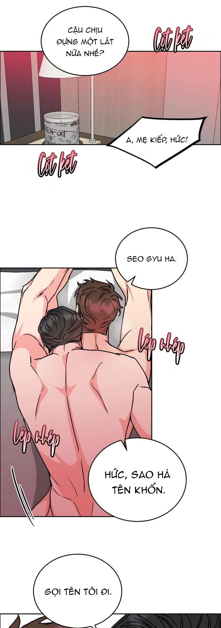 Đọc truyện CHÓ VÀ CHIM - Chapter 26