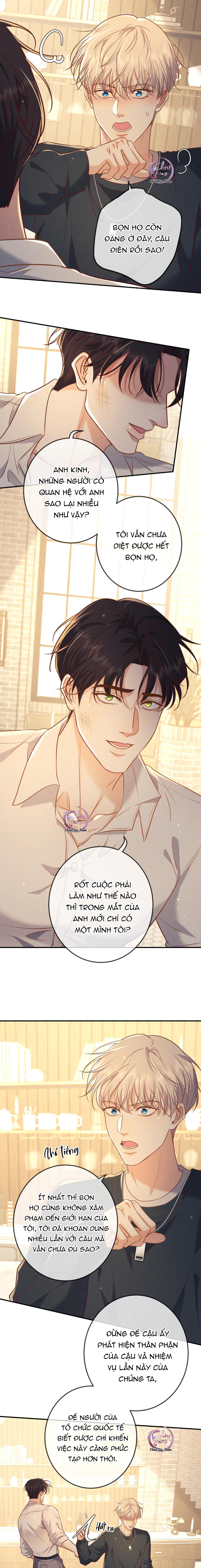 Đọc truyện Cạn Tình - Chapter 36