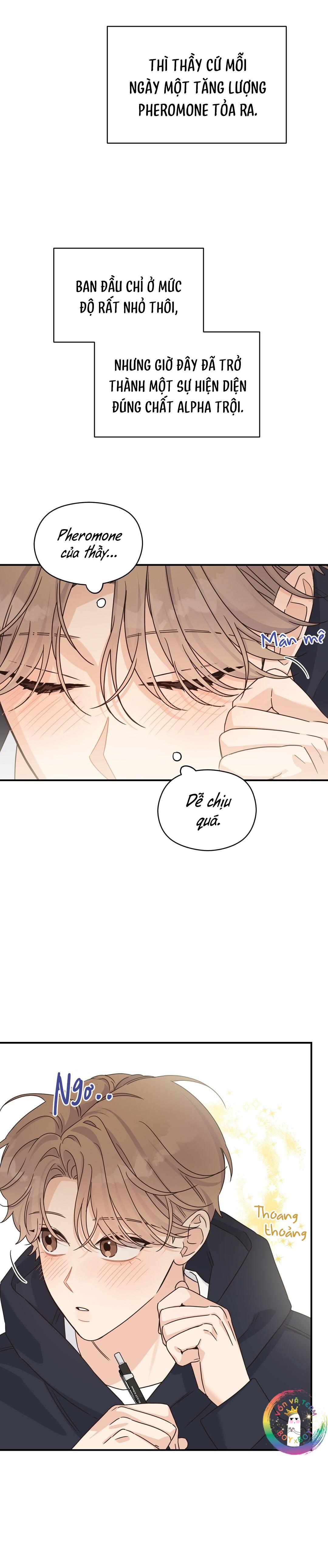 Đọc truyện ✿ Vết Thương Alpha ✿ - Chapter 15