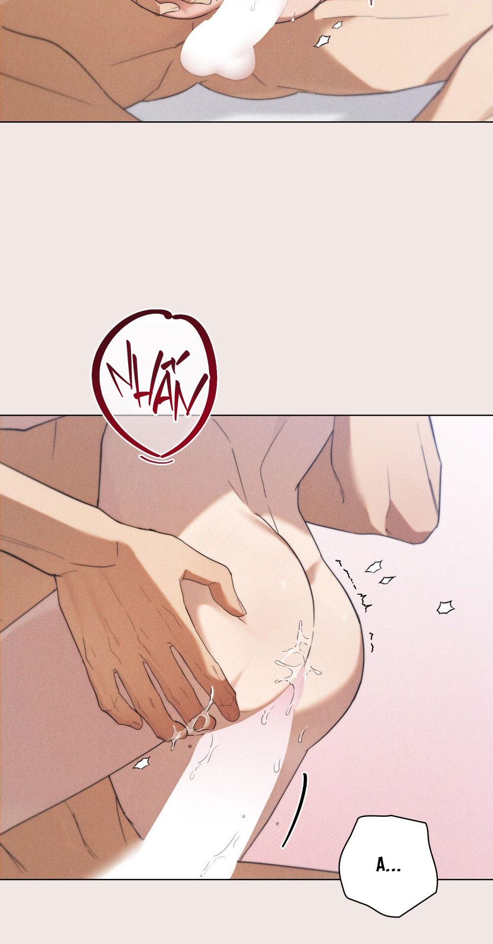 Đọc truyện NGƯỜI TÌNH BÍ MẬT - Chapter 25