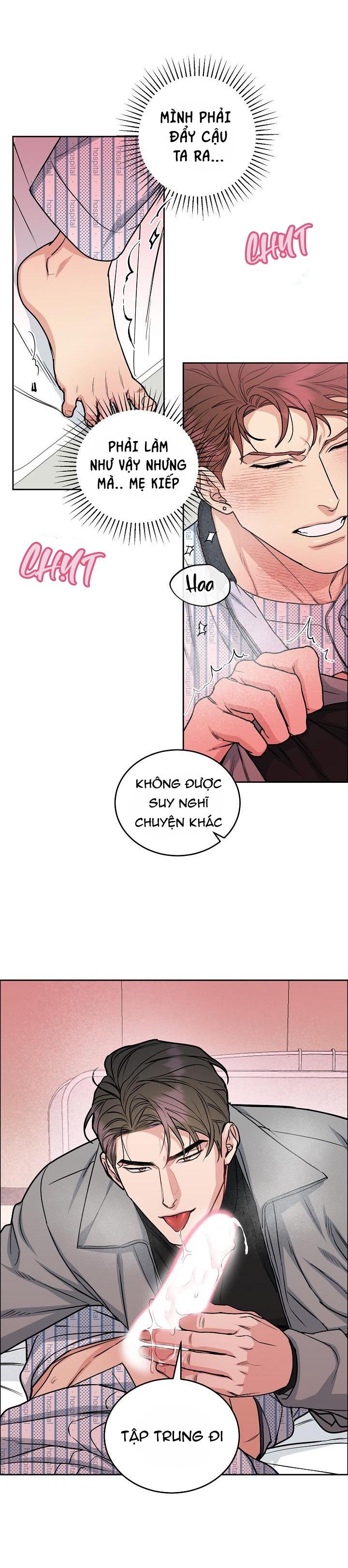 Đọc truyện CHÓ VÀ CHIM - Chapter 16