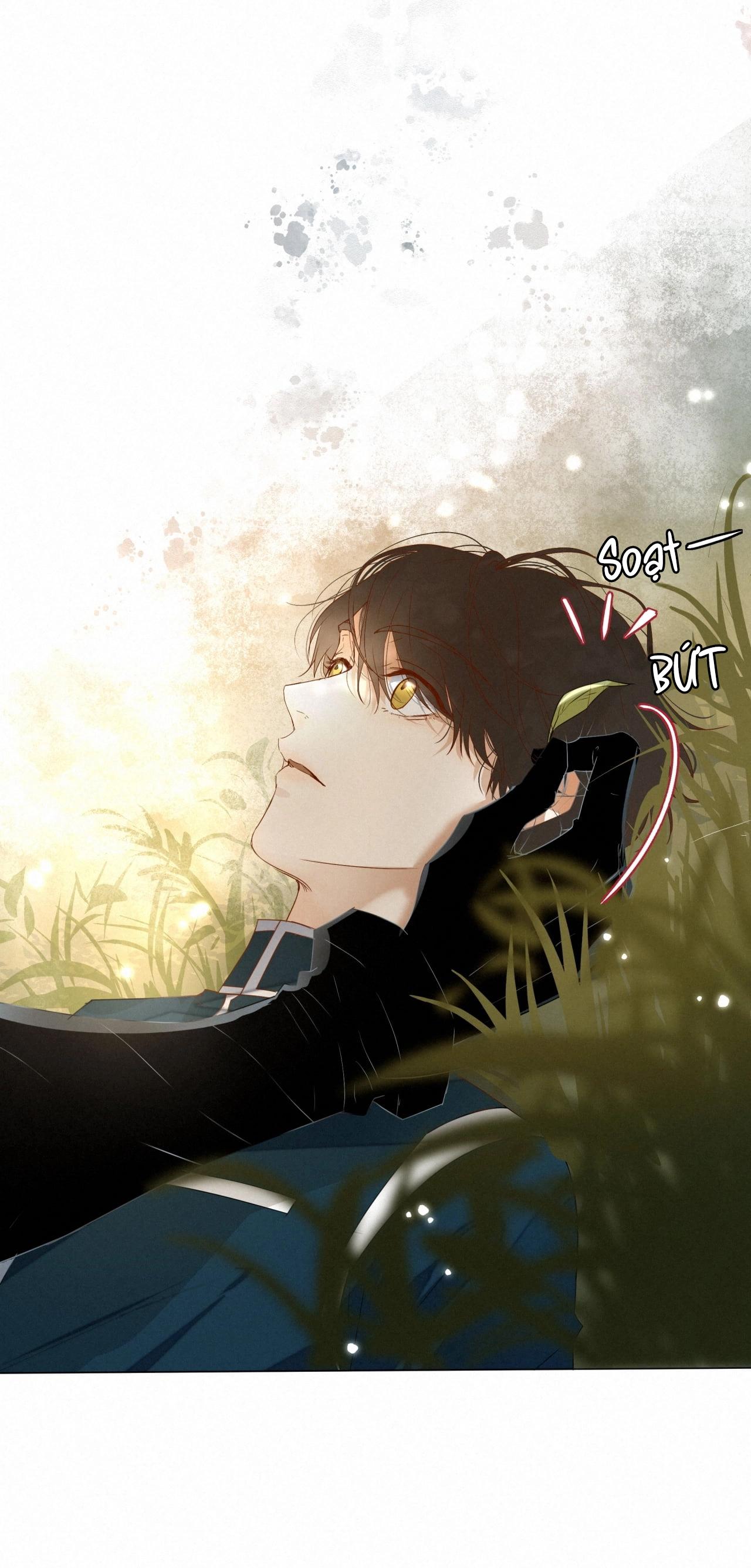 Đọc truyện Trỗi Dậy Từ Tro Tàn - Chapter 16