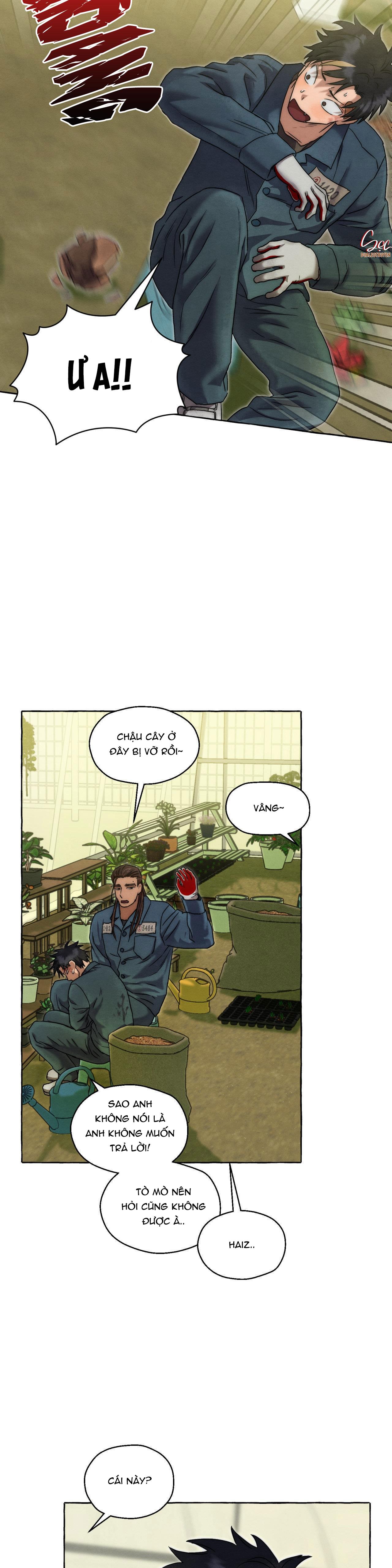 Đọc truyện NHỮNG CON CHÓ TRONG TÙ - Chapter 28