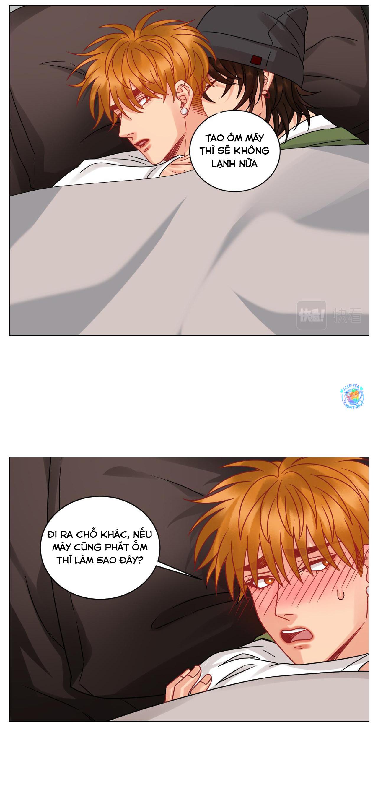 Đọc truyện Ký túc xá nam phòng 303 - Chapter 219