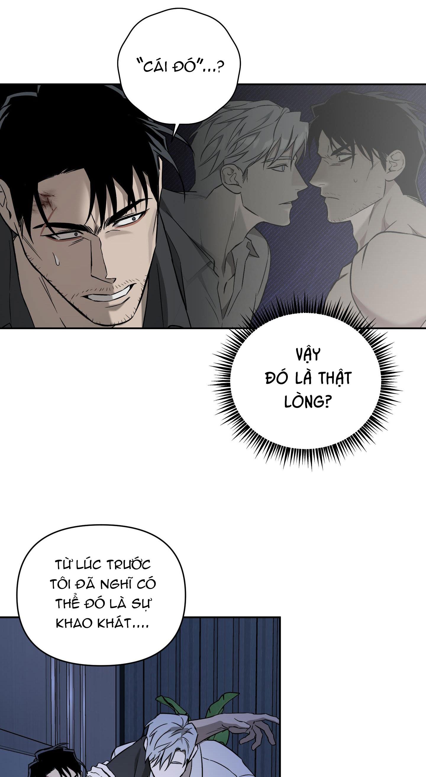 Đọc truyện CÁT LÚN - Chapter 5