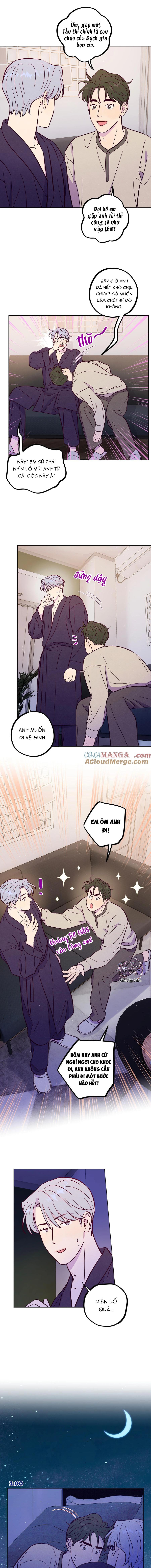 Đọc truyện Giăng Bẫy Bác Sĩ Hồ Ly - Chapter 107