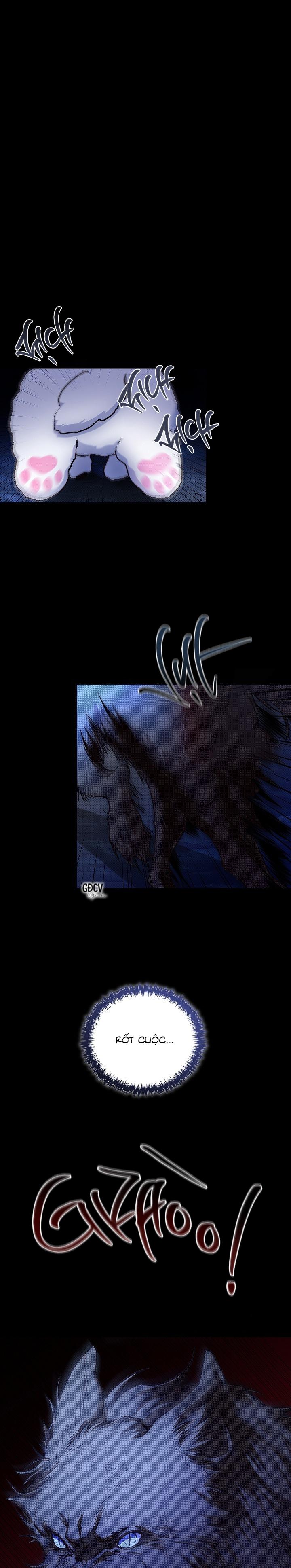 Đọc truyện ĐỪNG CHẠM VÀO CÚN CON CỦA TÔI - Chapter 1