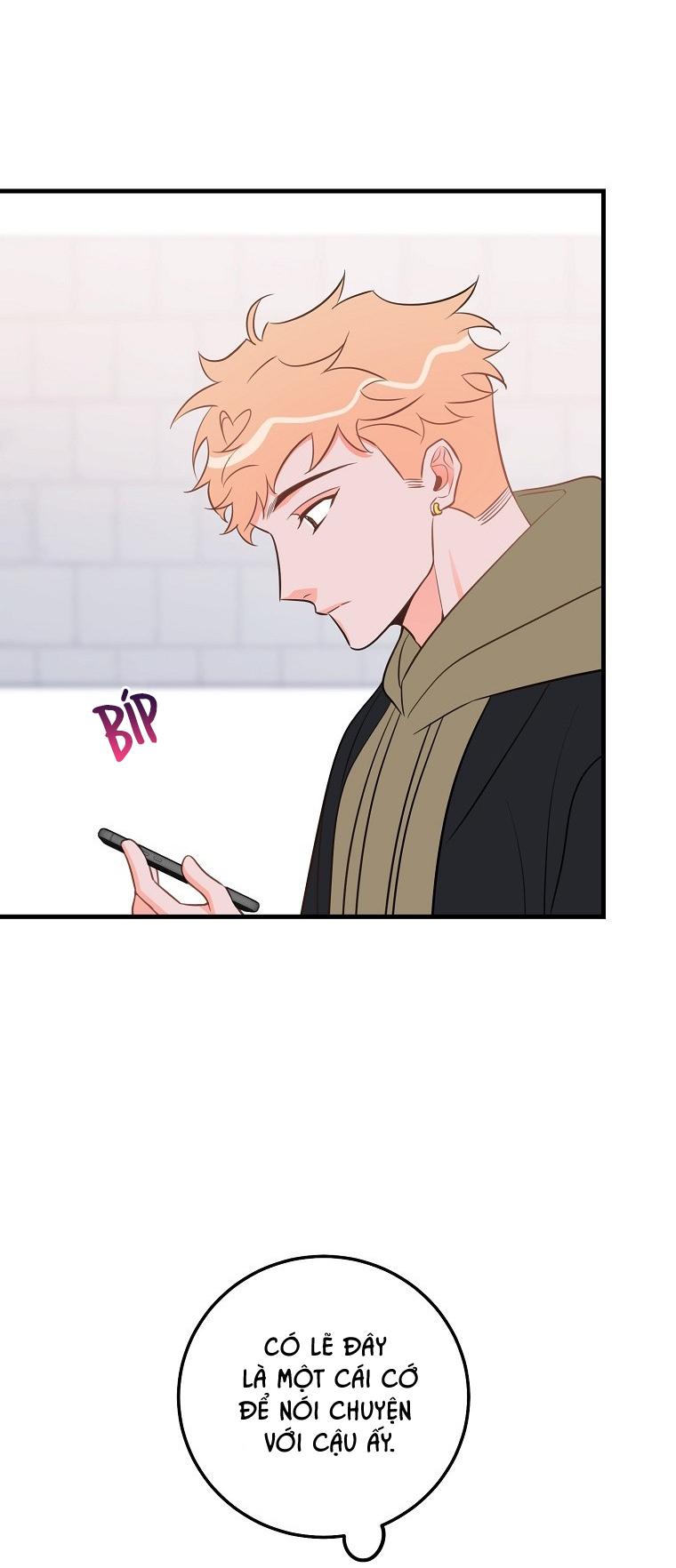 Đọc truyện Có Chuyện Gì Xảy Ra với Sự Nổi Tiếng Của Tôi Thế? - Chapter 49