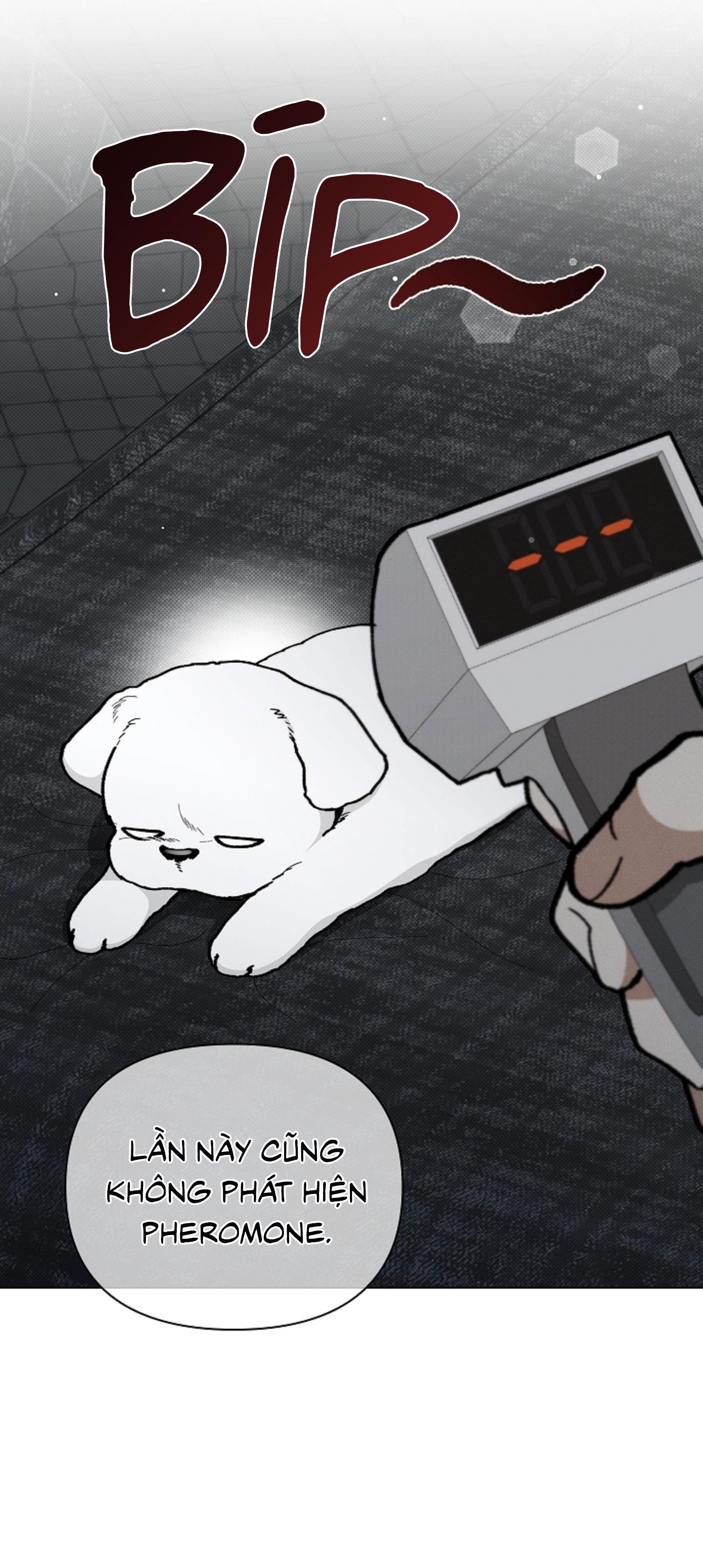 Đọc truyện ĐỪNG ĐỘNG VÀO CÚN CON! - Chapter 7