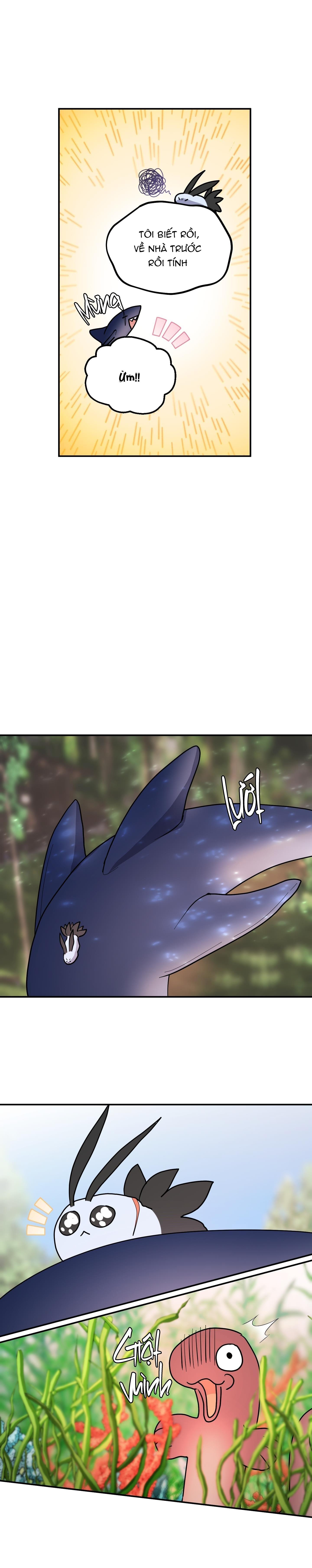 Đọc truyện CÁ MẬP VÀ CÔ DÂU THỎ - Chapter 35