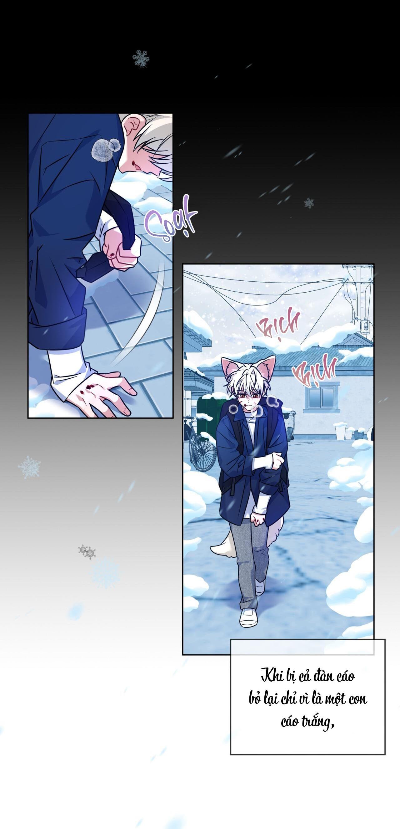 Đọc truyện |DROP| Tiệm đồ uống của cáo Flynn - Chapter 14