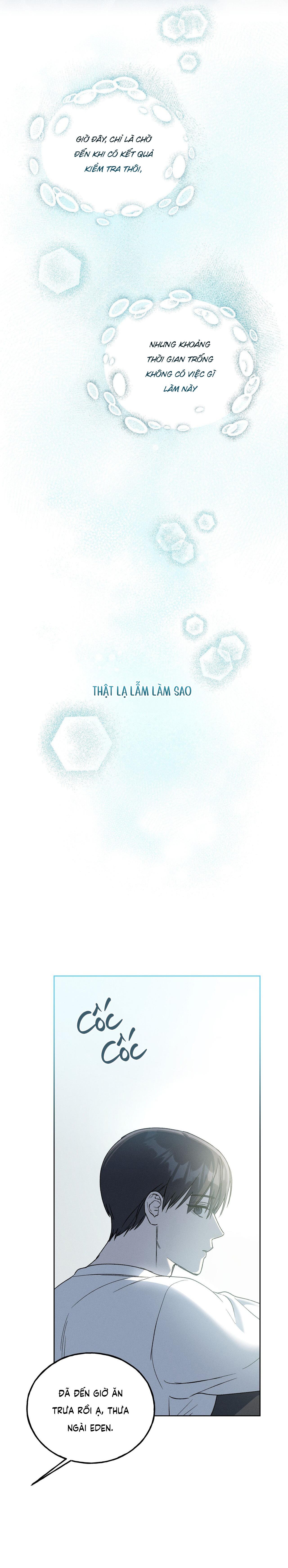 Đọc truyện LÂU ĐÀI GỖ MUN - Chapter 8