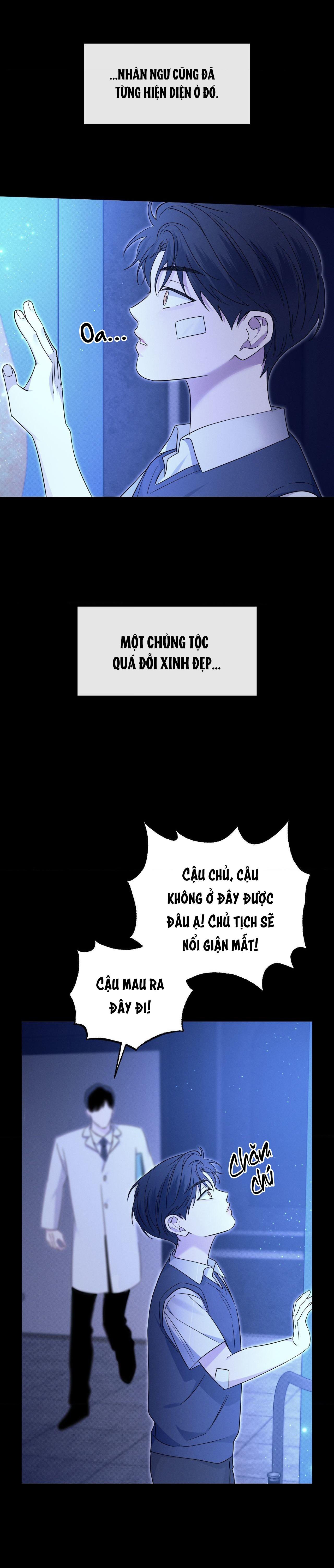 Đọc truyện ĐẦM LẦY NHÂN NGƯ - Chapter 17