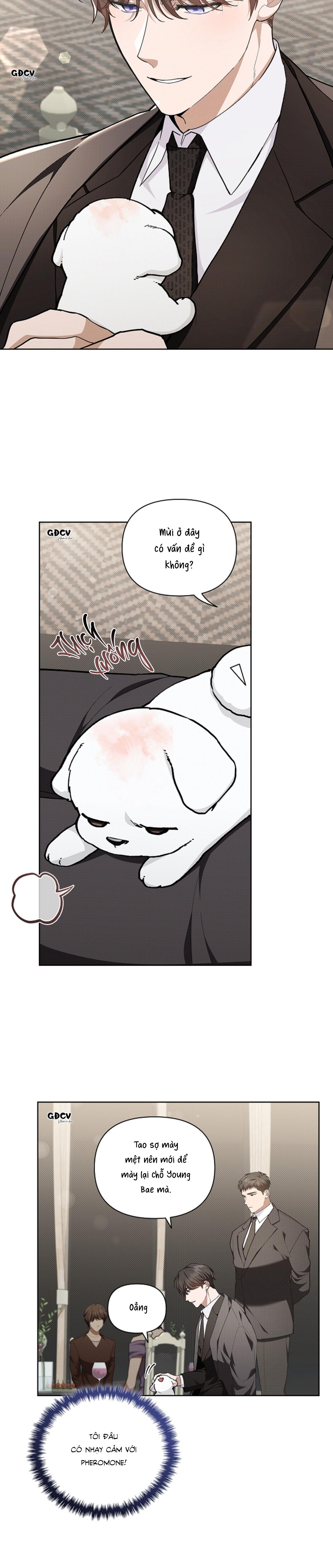 Đọc truyện ĐỪNG CHẠM VÀO CÚN CON CỦA TÔI - Chapter 11