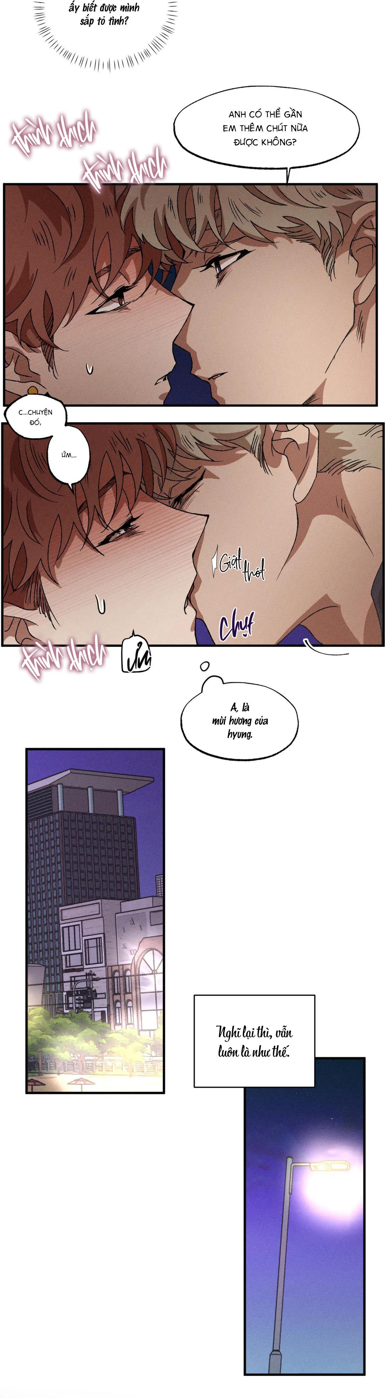 Đọc truyện  Bẫy Đôi Ngọt Ngào - Chapter 63