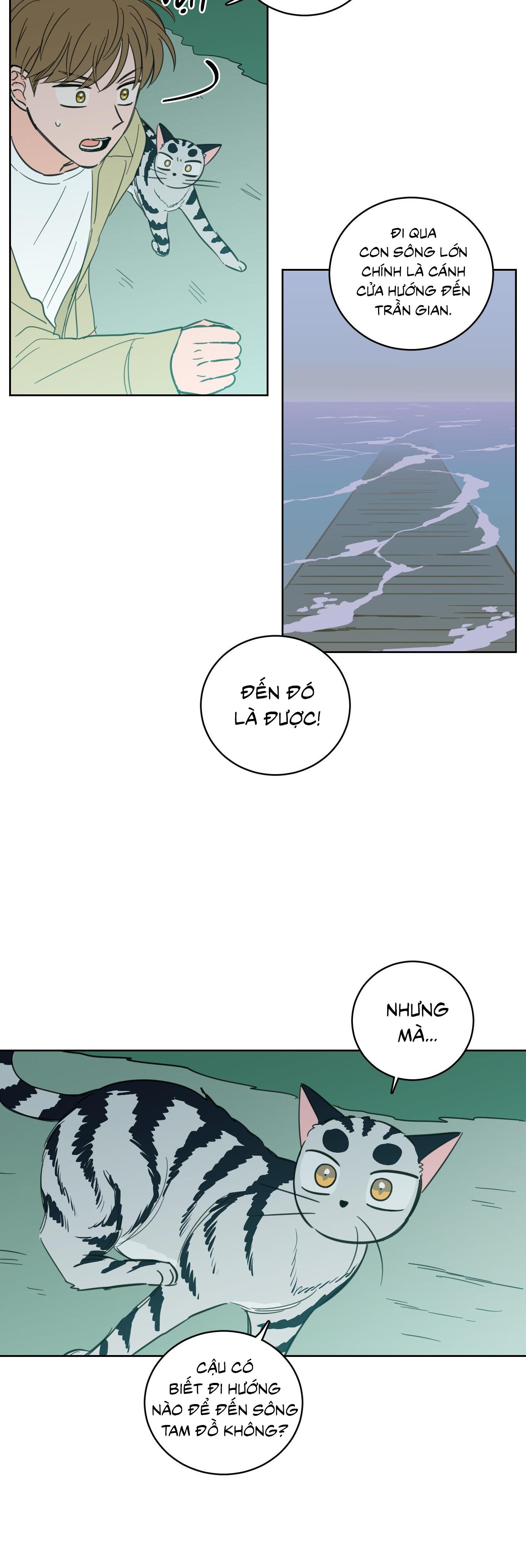 Đọc truyện Mẹo Thuần Hóa Hổ - Chapter 99