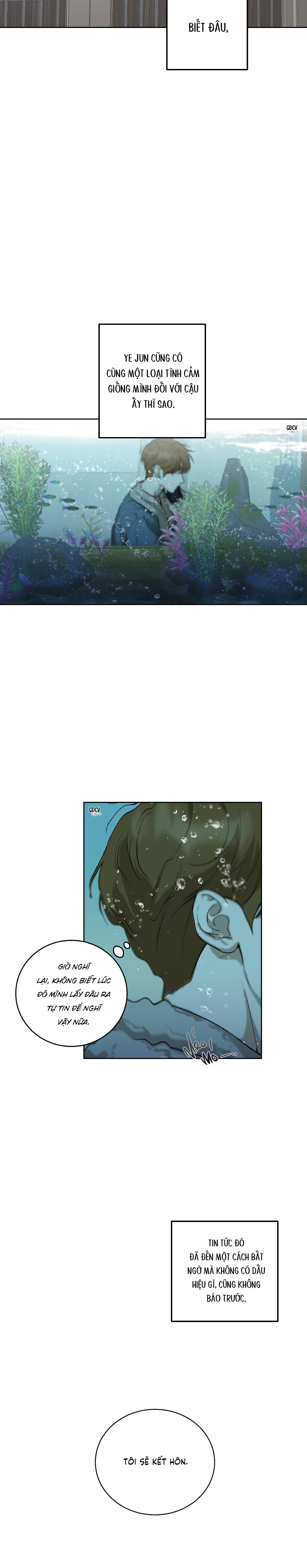 Đọc truyện LỜI TỎ TÌNH CHÂN THÀNH NHẤT - Chapter 1