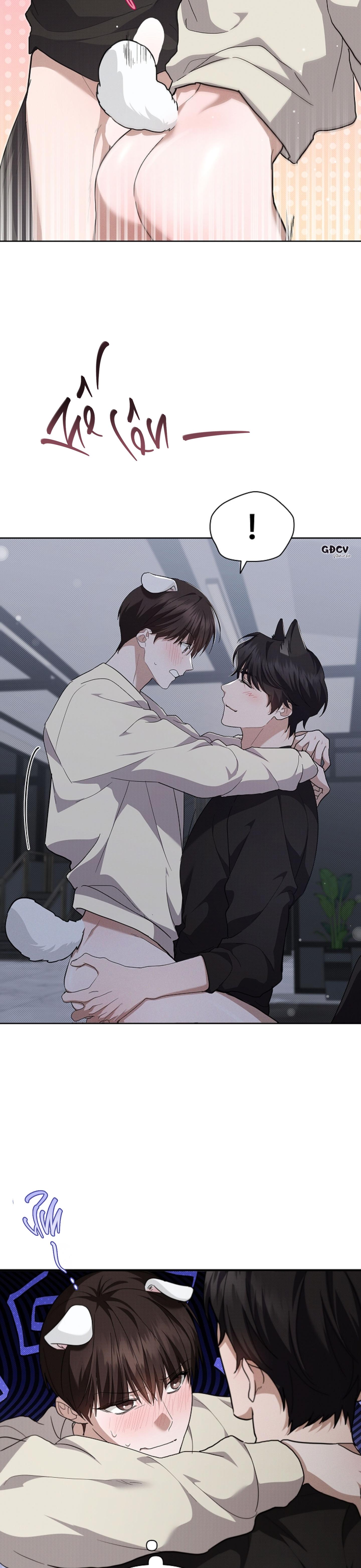 Đọc truyện ĐỪNG CHẠM VÀO CÚN CON CỦA TÔI - Chapter 25