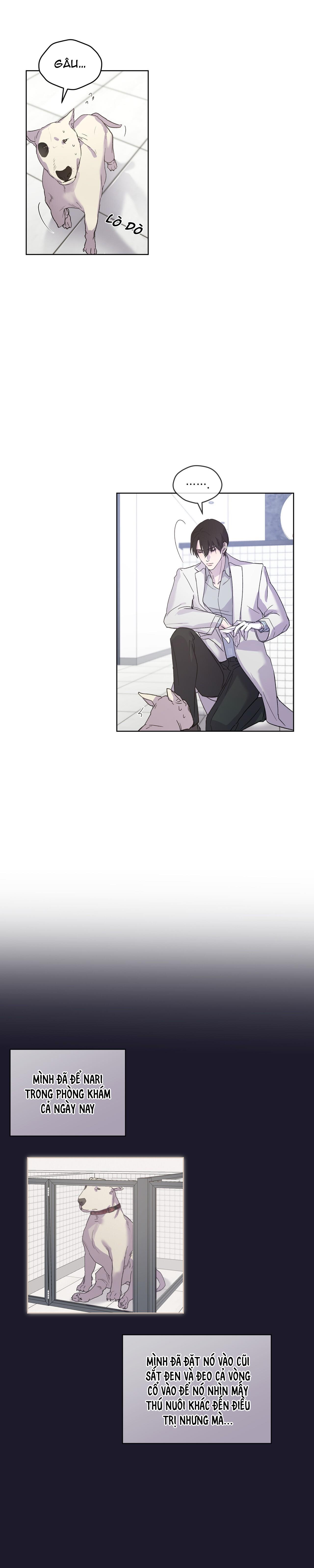 Đọc truyện Kí Ức Về Trong Hơi Thở - Chapter 5