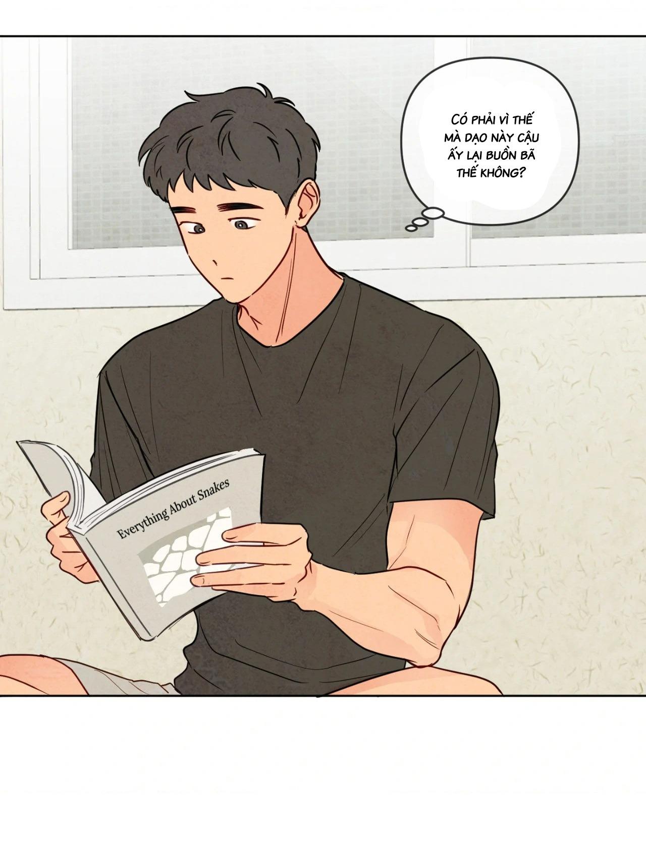 Đọc truyện Sự quyến rũ của Thần Rắn - Chapter 22