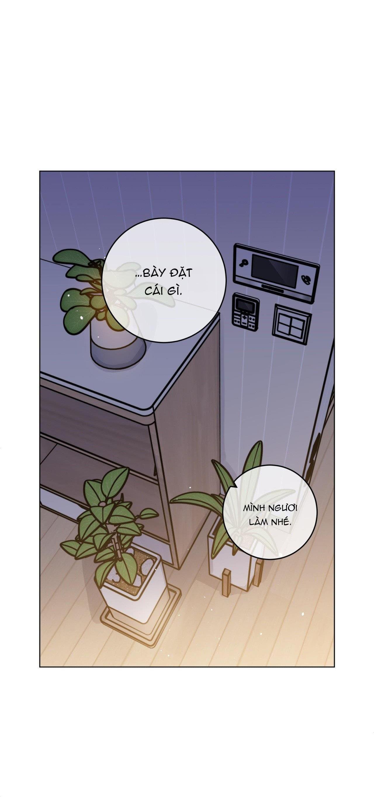 Đọc truyện CƠN MƯA RÀO MÙA HẠ - Chapter 72