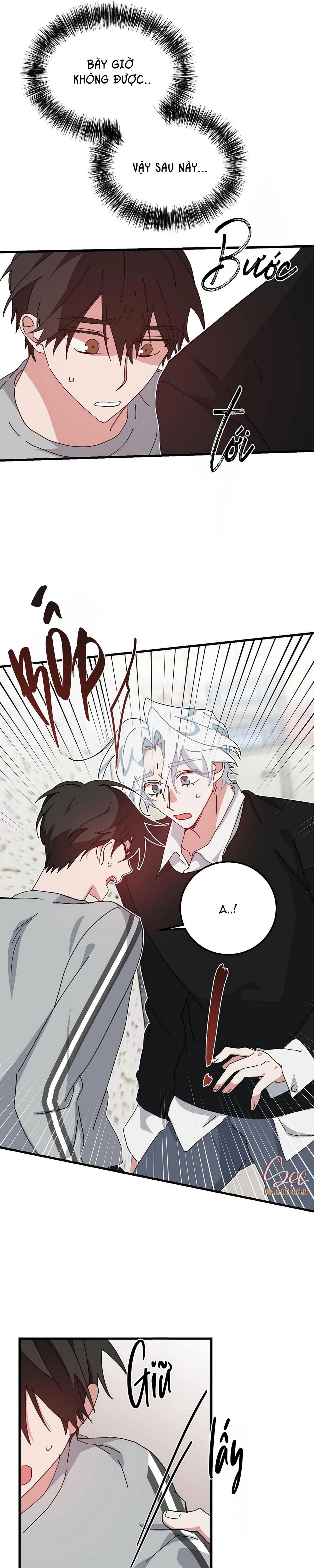 Đọc truyện YÊU TÔI ĐI, THẦN HỘ MỆNH - Chapter 47