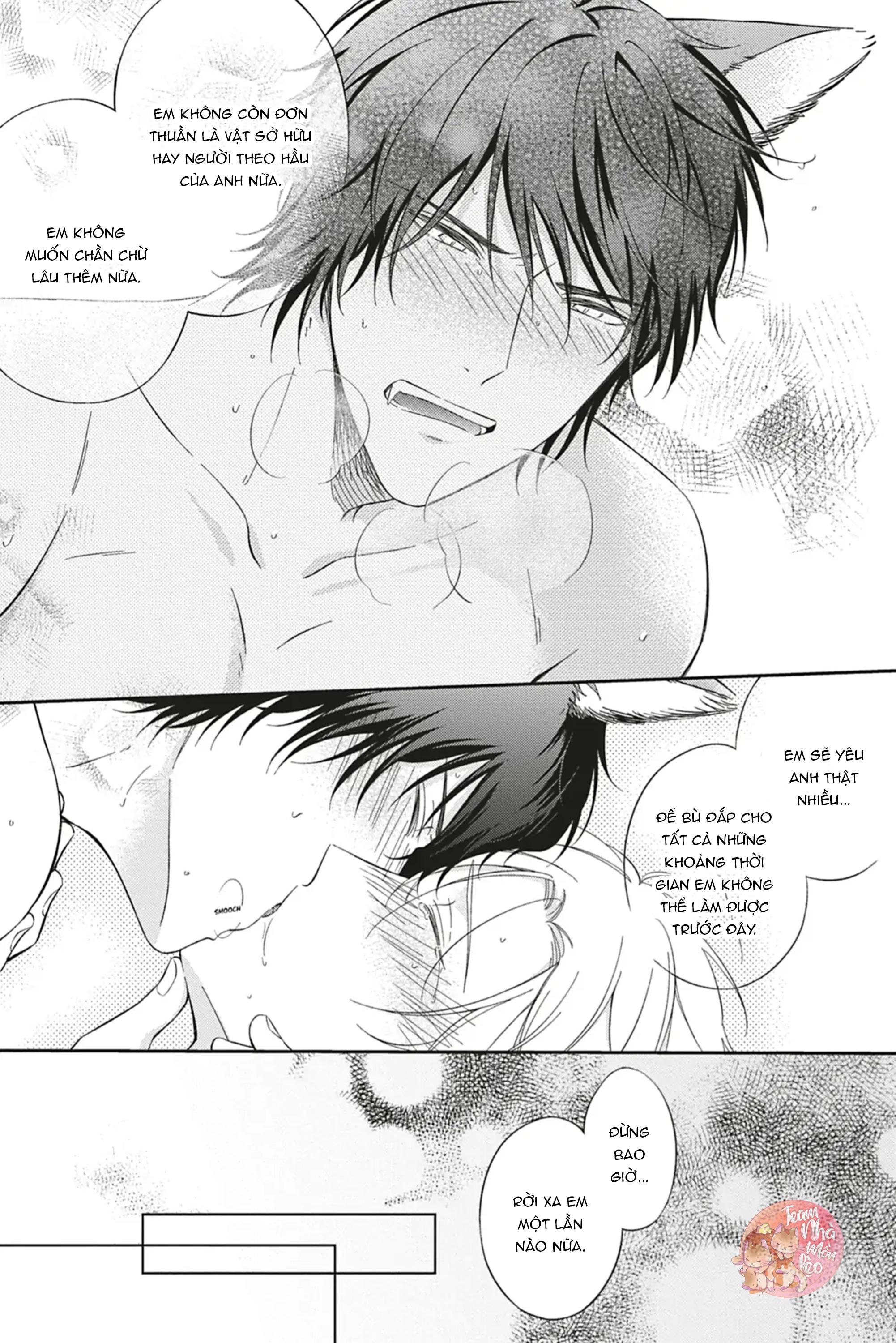 Đọc truyện TÌNH YÊU NƠI ANH - Chapter 4