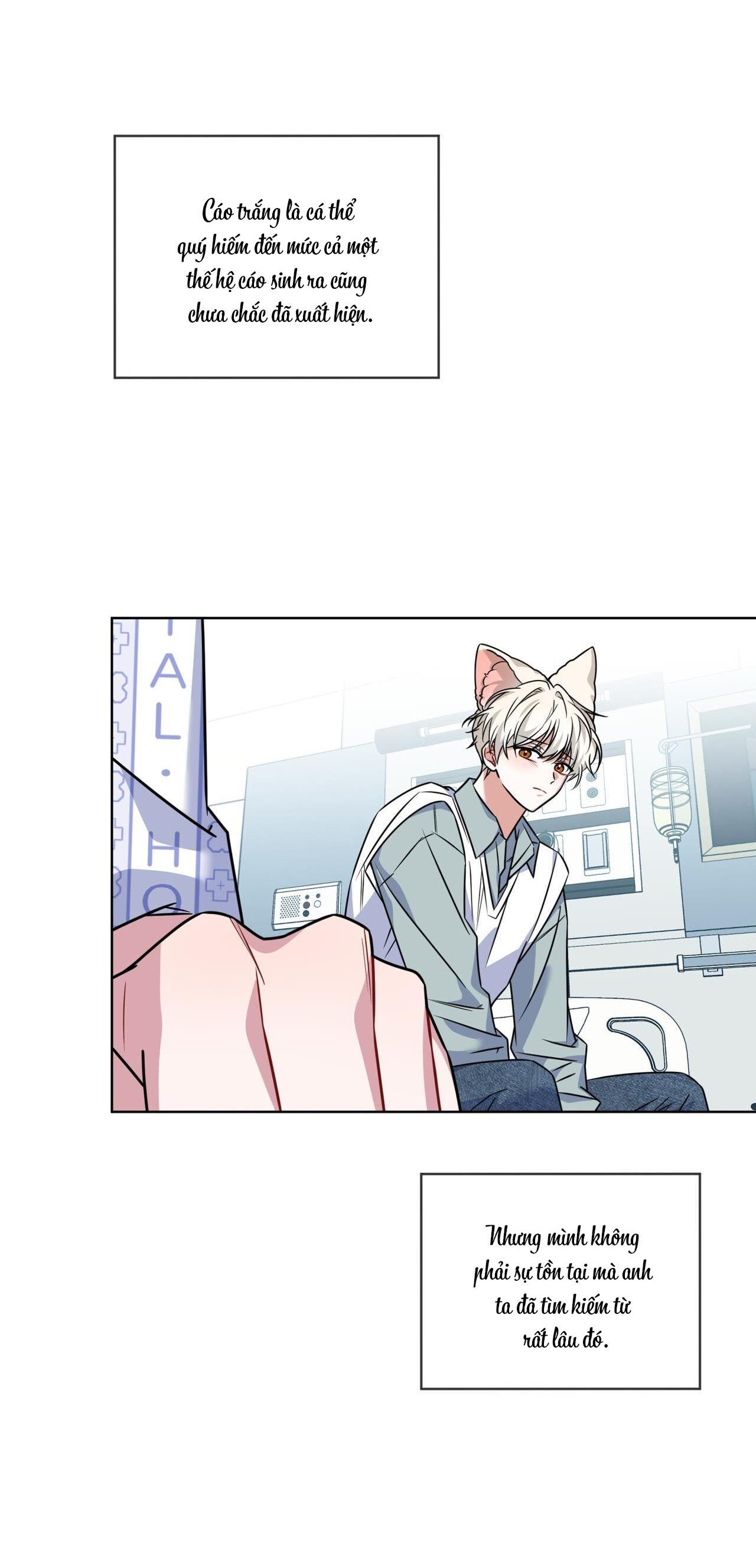 Đọc truyện |DROP| Tiệm đồ uống của cáo Flynn - Chapter 17