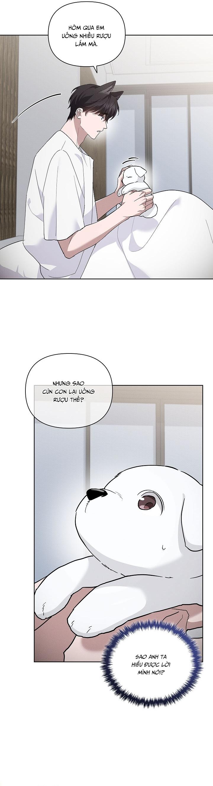 Đọc truyện ĐỪNG CHẠM VÀO CÚN CON CỦA TÔI - Chapter 32