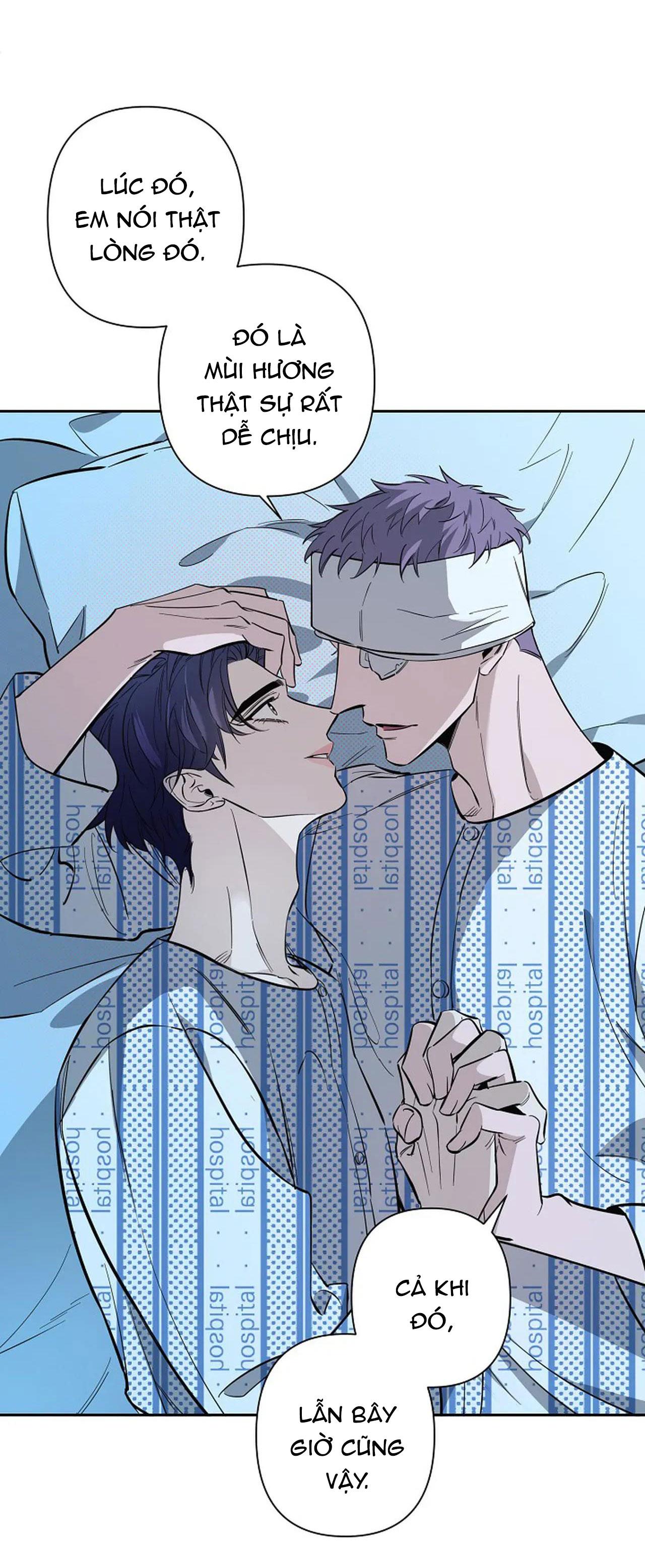 Đọc truyện ĐÊM DỊU DÀNG - Chapter 71