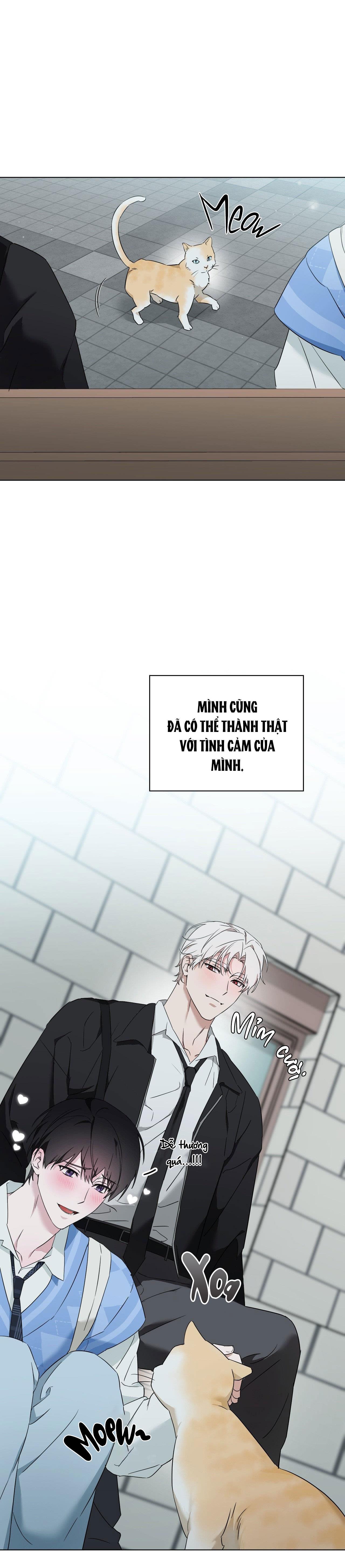 Đọc truyện LỖI TẠI DỄ THƯƠNG - Chapter 45