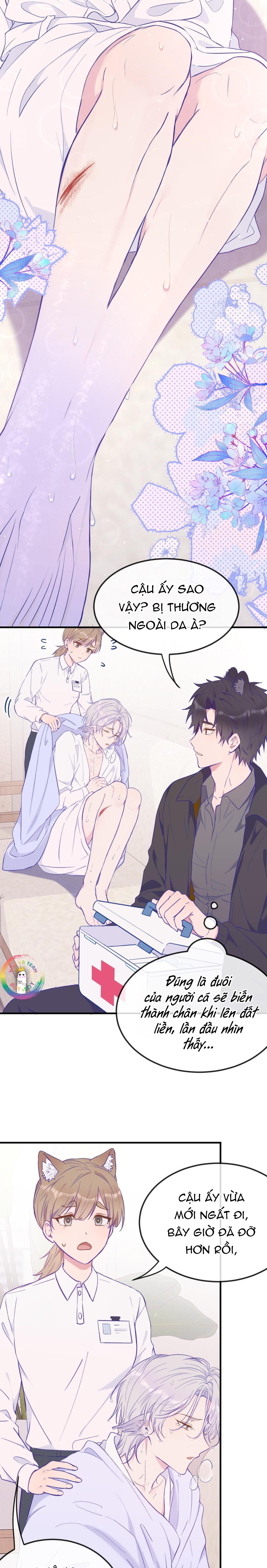 Đọc truyện Cún Con Nói Dối Sẽ Bị Ăn Thịt - Chapter 15