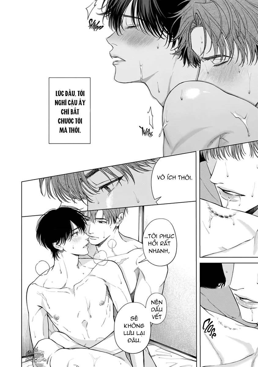 Đọc truyện Thạch lựu lấp lánh trong bãi rác - Chapter 4