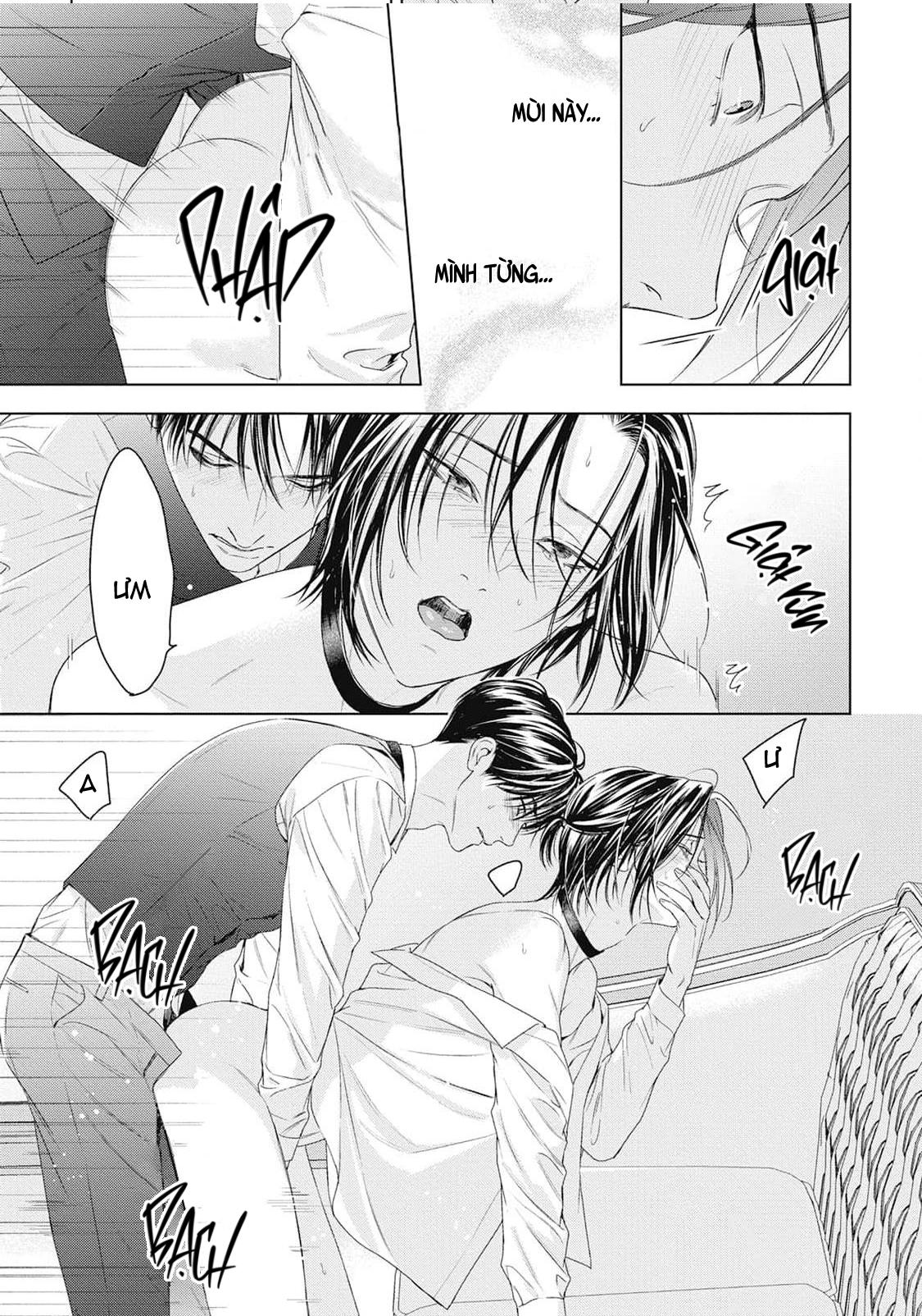 Đọc truyện Hòa thanh dưới ánh nến hoa cùng tình yêu của Omega - Chapter 3