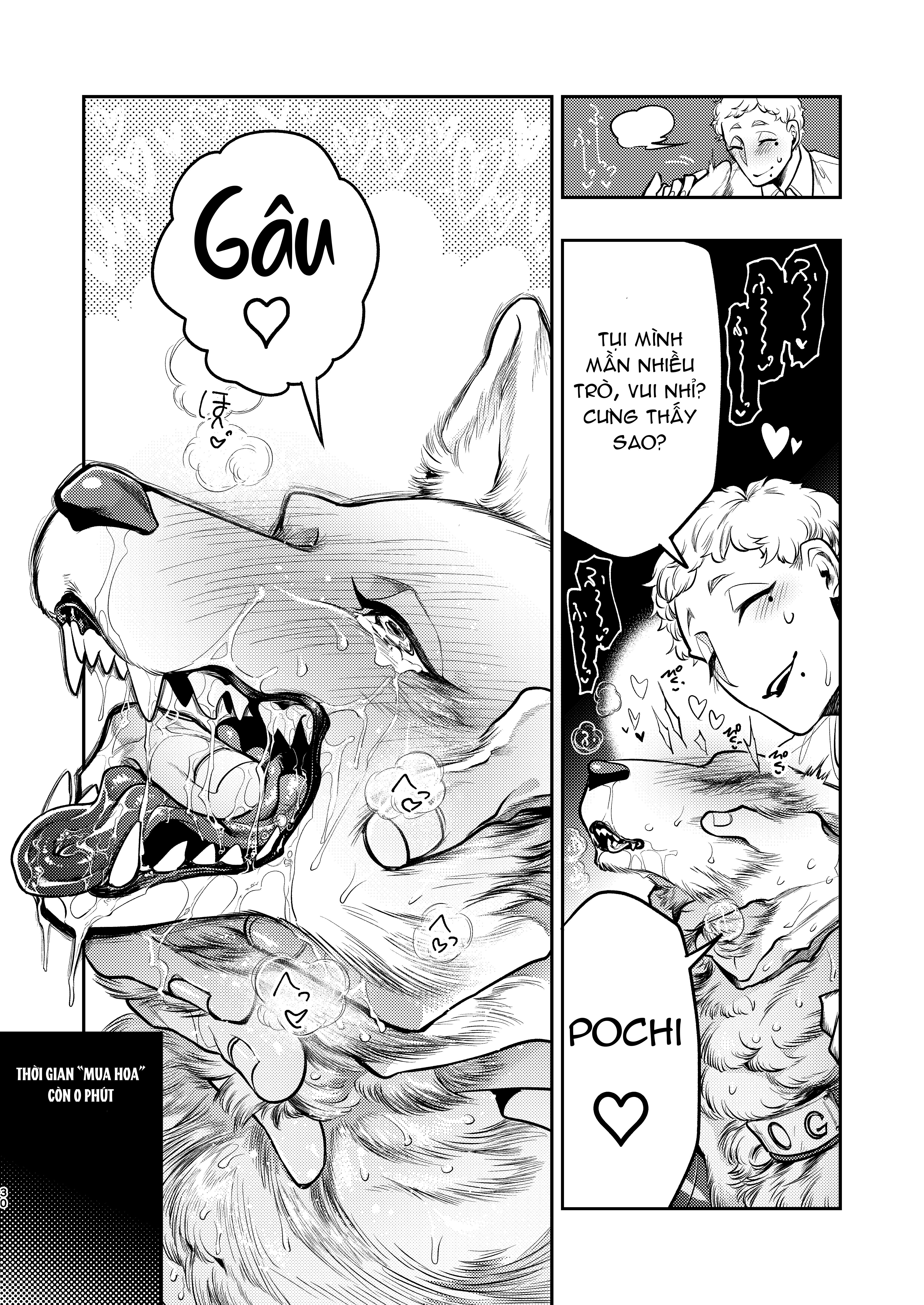 Đọc truyện Sói cưng đi mua răm - Chapter 1