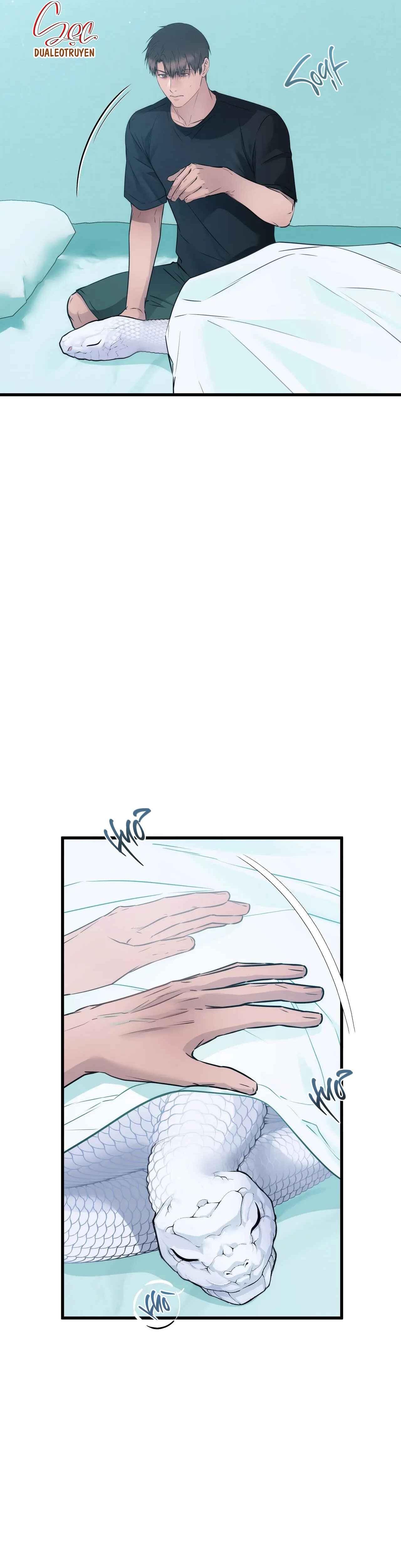 Đọc truyện ÂN NHÂN CỦA RẮN - Chapter 17