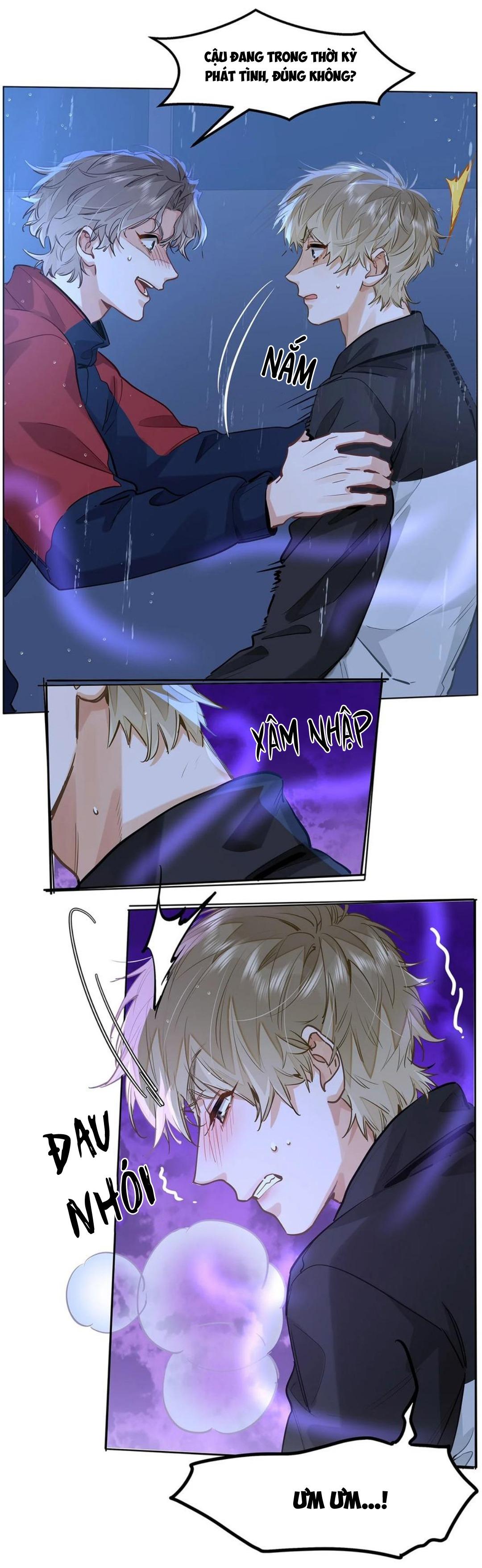 Đọc truyện Tôi thích tin tức tố của cậu - Chapter 51