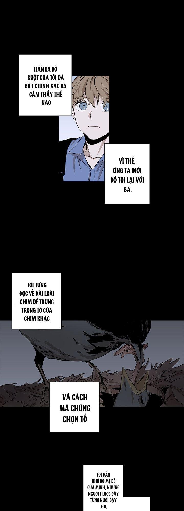 Đọc truyện Đường Chim Bay - Chapter 5
