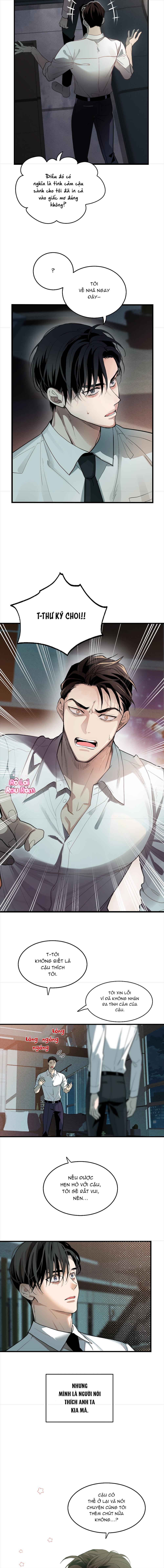 Đọc truyện TÌNH YÊU LÔNG XÙ - Chapter 2