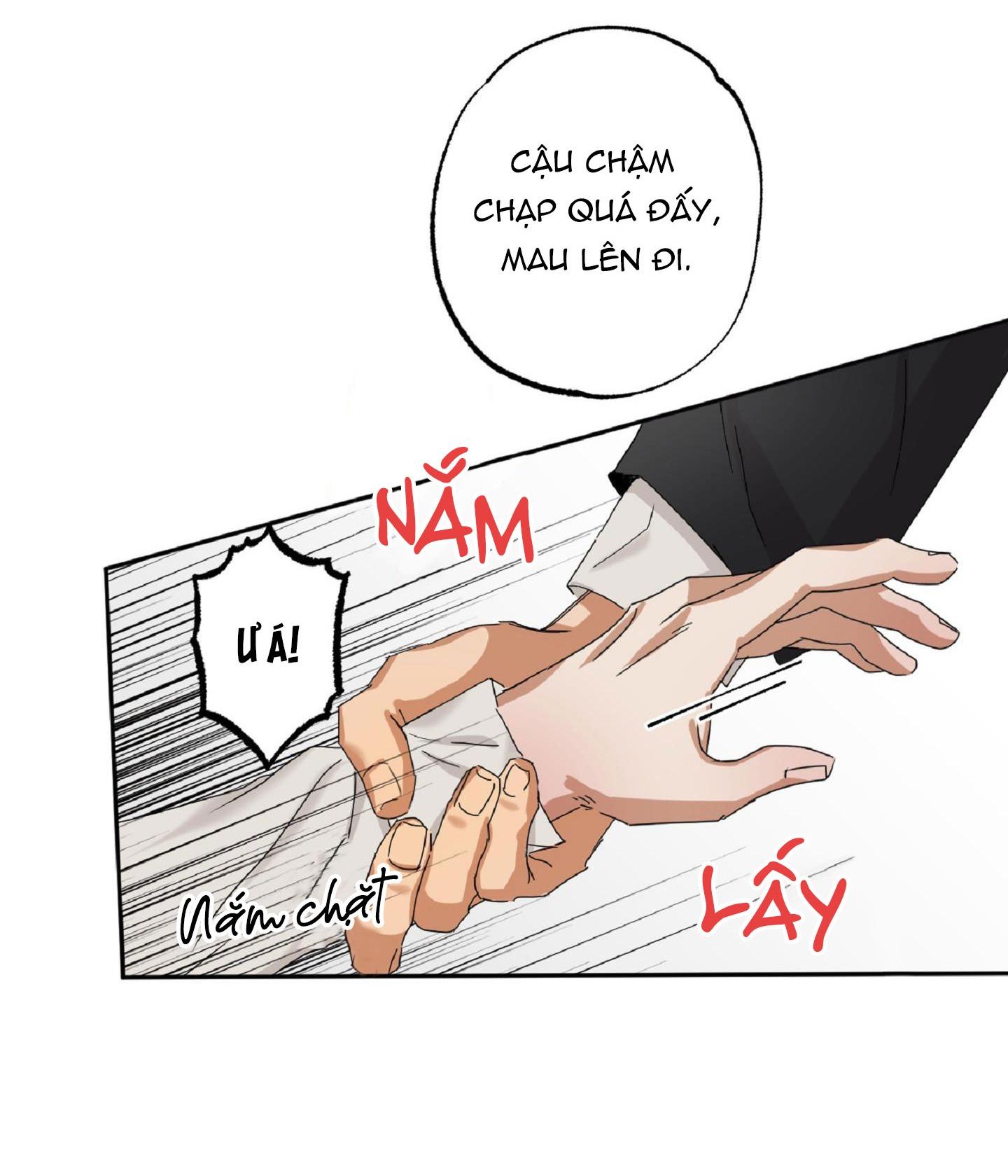 Đọc truyện Tuyển Tập Manhwa Dằm Khăm - Chapter 68